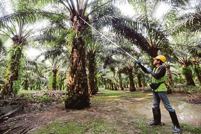 Pemerintah Kabupaten Kutai Timur (Kutim), memproyeksikan jika Anggaran Pendapatan Belanja Daerah (APBD) Kutim 2023 kemungkinan bisa tembus di angka Rp5 triliun. Hal tersebut disampaikan Wakil Bupati Kasmidi Bulang beberapa waktu yang lalu